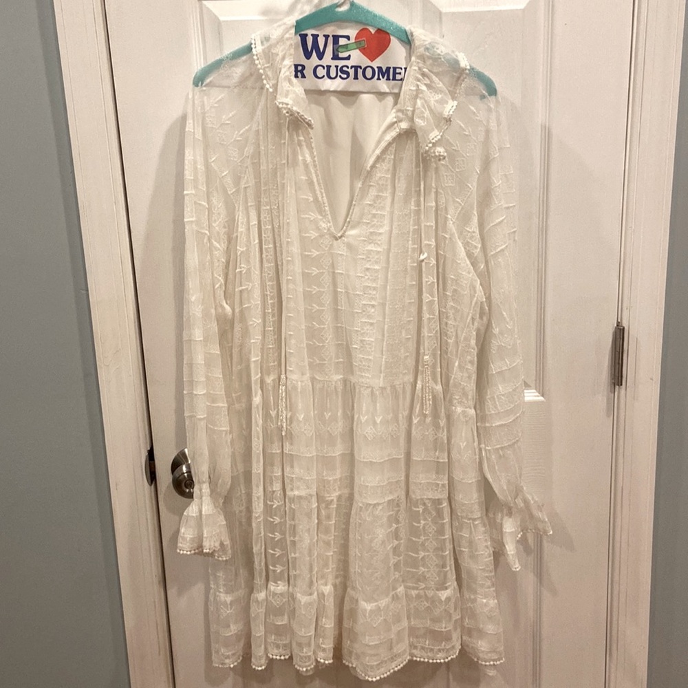 Zara Sheer Long Sleeve Lace Dress
